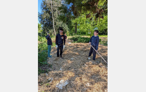 Suite du paillage